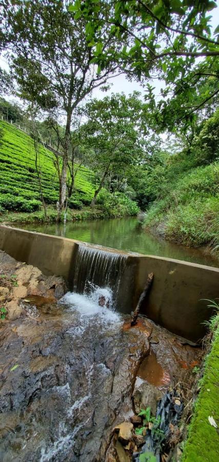 Idam Resort Vagamon Exteriér fotografie